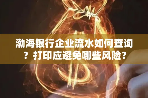 渤海银行企业流水如何查询？打印应避免哪些风险？