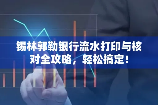 锡林郭勒银行流水打印与核对全攻略，轻松搞定！