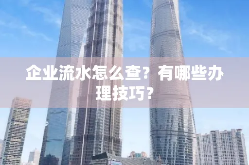 企业流水怎么查？有哪些办理技巧？