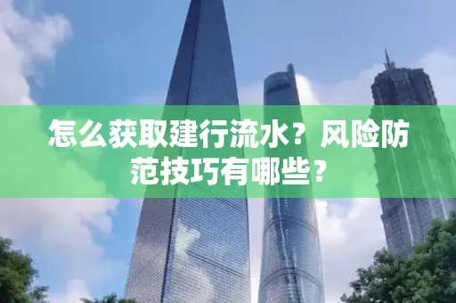 怎么获取建行流水？风险防范技巧有哪些？